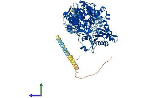 Protein Structure (PS) image for DEAH (Asp-Glu-Ala-His) Box Polypeptide 15 (DHX15) (AA 1-795) protein (His tag) (ABIN7562297)