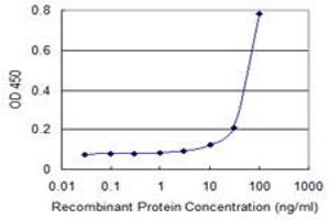Detection limit for recombinant GST tagged ZKSCAN4 is 3 ng/ml as a capture antibody. (ZKSCAN4 antibody  (AA 1-545))