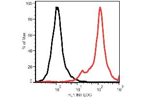 Surface staining of Kg1a cells with anti-STRO-1 (STRO-1) purified. (STRO-1 antibody)