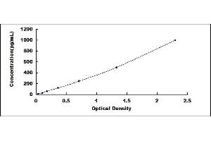 Typical standard curve (IDO ELISA Kit)