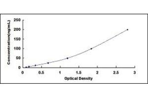 Typical standard curve (C3 ELISA Kit)