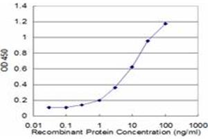 Detection limit for recombinant GST tagged PTCH is approximately 0. (Patched 1 antibody  (AA 841-940))