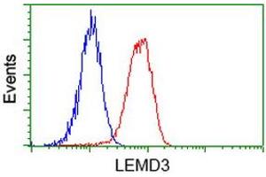 Flow cytometric Analysis of Hela cells, using anti-LEMD3 antibody (ABIN2453808), (Red), compared to a nonspecific negative control antibody, (Blue). (LEMD3 antibody)
