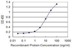 Detection limit for recombinant GST tagged PUF60 is 0. (PUF60 antibody  (AA 1-516))