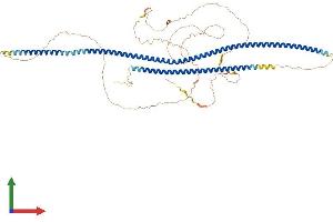 Protein Structure (PS) image for Leucine Zipper, Putative Tumor Suppressor 2 (LZTS2) (AA 1-671) protein (His tag) (ABIN7564826)