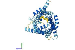 AlphaFold protein structure predicition of Mouse Recombinant Slc25a19 Protein, UniprotID Q9DAM5