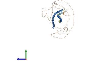 AlphaFold protein structure predicition of Human Recombinant KRT76 Protein, UniprotID Q01546 (Cytokeratin 2 Protein (AA 1-638) (His tag))