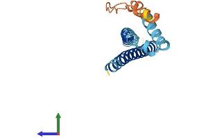 Protein Structure (PS) image for WAS Protein Homolog Associated with Actin, Golgi Membranes and Microtubules Pseudogene 3 (WHAMMP3) (AA 1-153) protein (His tag) (ABIN7545129)