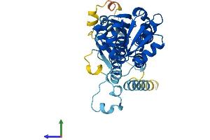 AlphaFold protein structure predicition of Human Recombinant EIF2B2 Protein, UniprotID P49770