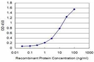 Detection limit for recombinant GST tagged IKBKB is approximately 0. (IKBKB antibody  (AA 3-120))