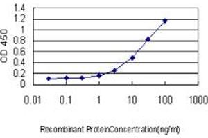 Detection limit for recombinant GST tagged RABGAP1 is approximately 1ng/ml as a capture antibody. (RABGAP1 antibody  (AA 1-110))