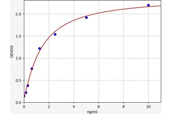 IFIT1 ELISA Kit