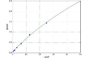 Haptoglobin Related Protein (HPR) ELISA Kit