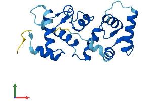 AlphaFold protein structure predicition of Human Recombinant CIB4 Protein, UniprotID A0PJX0 (CIB4 Protein (AA 1-185) (His tag))