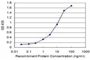 Detection limit for recombinant GST tagged AP3B1 is approximately 0. (AP3B1 antibody  (AA 995-1094))
