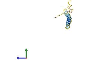 AlphaFold protein structure predicition of Human Recombinant ADIG Protein, UniprotID Q0VDE8 (ADIG Protein (AA 1-80) (Fc Tag))