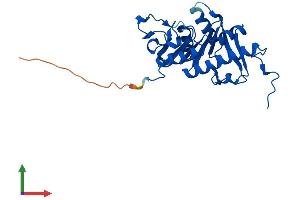 Protein Structure (PS) image for APAF1 Interacting Protein (APIP) (AA 1-242) protein (His tag) (ABIN7549568)