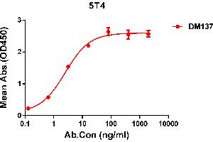 ELISA plate pre-coated by 1 μg/mL (100 μL/well) Human 5T4 protein, His tagged protein ((ABIN6964086, ABIN7042427 and ABIN7042428)) can bind Rabbit anti-5T4 monoclonal antibody(clone: DM137) in a linear range of 0. (TPBG antibody  (AA 32-355))