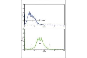Flow Cytometry (FACS) image for anti-Interleukin 17 Receptor B (IL17RB) antibody (ABIN3002790) (IL17 Receptor B antibody)