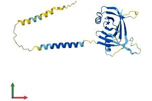 AlphaFold protein structure predicition of Mouse Recombinant Itm2a Protein, UniprotID Q61500 (ITM2A Protein (AA 1-263) (His tag))