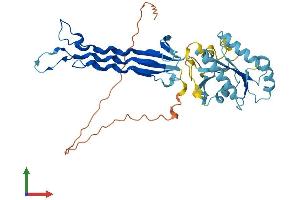AlphaFold protein structure predicition of Human Recombinant MTG2 Protein, UniprotID Q9H4K7