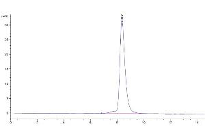 The purity of Biotinylated Human GUCY2C is greater than 95 % as determined by SEC-HPLC.