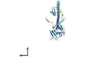AlphaFold protein structure predicition of Human Recombinant TRIM50 Protein, UniprotID Q86XT4 (TRIM50 Protein (AA 1-487) (His tag))