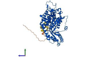 AlphaFold protein structure predicition of Mouse Recombinant Gad2 Protein, UniprotID P48320