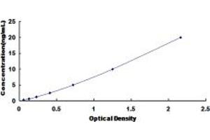 Typical standard curve (PDIA4 ELISA Kit)