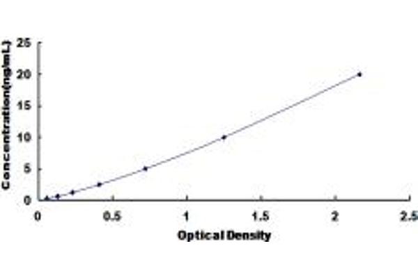 PDIA4 ELISA Kit