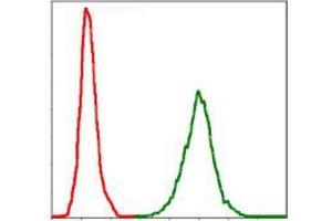 Flow cytometric analysis of Jurkat cells using NEFL mouse mAb (green) and negative control (red). (NEFL antibody)