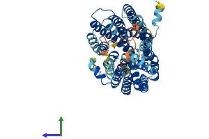 AlphaFold protein structure predicition of Mouse Recombinant Mfsd13a Protein, UniprotID Q6PDE8 (TMEM180 Protein (AA 1-519) (His tag))