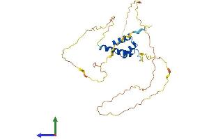 AlphaFold protein structure predicition of Mouse Recombinant Dlx3 Protein, UniprotID Q64205 (DLX3 Protein (AA 1-287) (His tag))