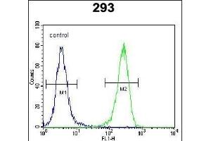 AQP11 Antibody (C-term) (ABIN651990 and ABIN2840484) flow cytometric analysis of 293 cells (right histogram) compared to a negative control cell (left histogram).