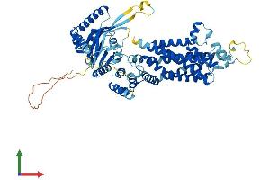 AlphaFold protein structure predicition of Mouse Recombinant Abcg5 Protein, UniprotID Q99PE8