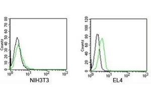 FACS testing of Rabbit IgG isotype control antibody FITC conjugate on mouse samples.