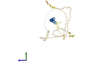 AlphaFold protein structure predicition of Human Recombinant C3orf49 Protein, UniprotID Q96BT1 (C3orf49 Protein (AA 1-292) (His tag))