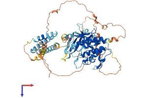 Ribosomal Protein S6 Kinase-Like 1 (RPS6KL1) (AA 1-544) protein (His tag)