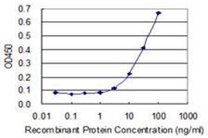Detection limit for recombinant GST tagged RBKS is 1 ng/ml as a capture antibody. (Ribokinase antibody  (AA 1-322))