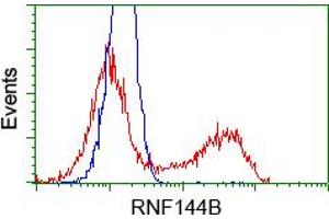 HEK293T cells transfected with either pCMV6-ENTRY RNF144B (RC209302) (Red) or empty vector control plasmid (Blue) were immunostained with anti-RNF144B mouse monoclonal (ABIN2453609), and then analyzed by flow cytometry. (RNF144B antibody  (AA 1-256))