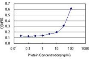 Sandwich ELISA detection sensitivity ranging from 1 ng/mL to 100 ng/mL. (GRIN2C (Human) Matched Antibody Pair)