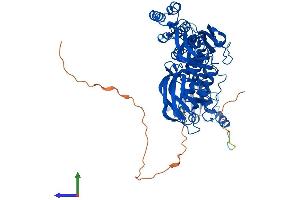 Protein Structure (PS) image for BTB (POZ) Domain Containing 9 (BTBD9) (AA 1-612) protein (His tag) (ABIN7559177)