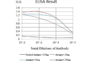 Black line: Control Antigen (100 ng),Purple line: Antigen (10 ng), Blue line: Antigen (50 ng), Red line:Antigen (100 ng) (CD72 antibody  (AA 117-359))