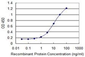 Detection limit for recombinant GST tagged SEC14L2 is 0. (SEC14L2 antibody  (AA 101-199))