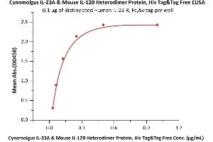 IL12A & IL27B (AA 22-189) (Active) protein (His tag)