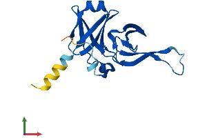 AlphaFold protein structure predicition of Mouse Recombinant Rfesd Protein, UniprotID Q8K2P6 (RFESD Protein (AA 1-157) (His tag))