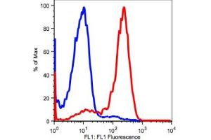 Image no. 2 for anti-CD2 (CD2) antibody (ABIN2704197) (CD2 antibody)