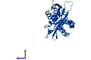 AlphaFold protein structure predicition of Human Recombinant NAT8 Protein, UniprotID Q9UHE5 (NAT8 Protein (AA 1-227) (His tag))