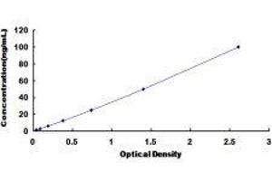 Catechol-O-Methyltransferase (COMT) ELISA Kit