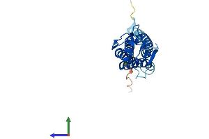 Protein Structure (PS) image for Lipoma HMGIC Fusion Partner-Like 5 (LHFPL5) (AA 1-219) protein (His tag) (ABIN7544536)